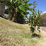 Victoryangel-casaturistica-conpiscina-cercadepadronyrianxo * Laino